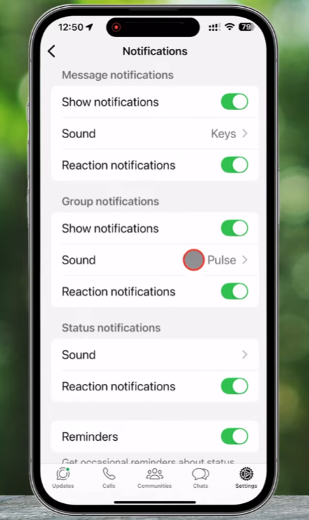 Setting up Custom Notification Tones for Specific JT WhatsApp Groups