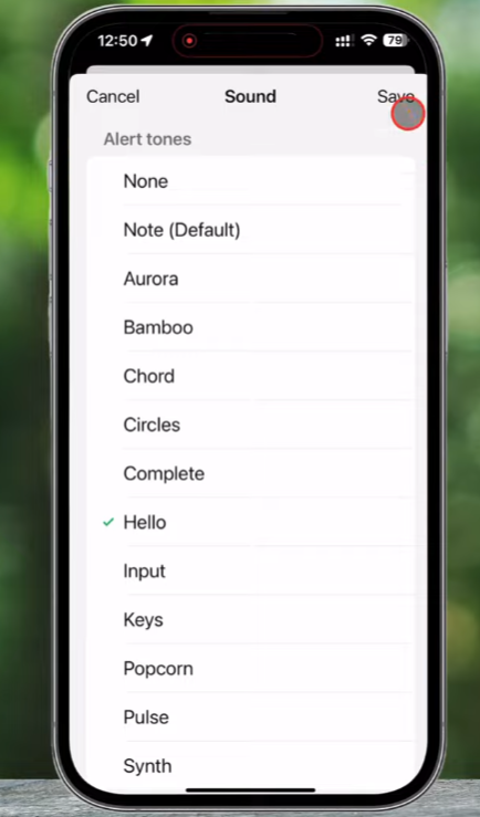 Setting up Custom Notification Tones for Specific JT WhatsApp Groups