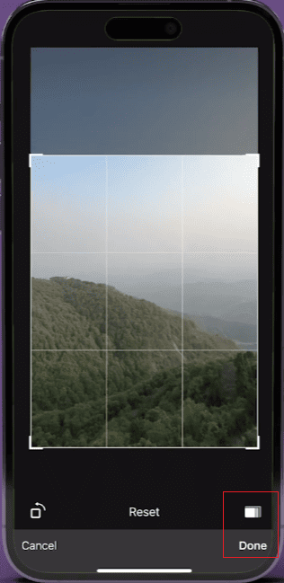 How to Use the Media Editor Feature in JT WhatsApp?